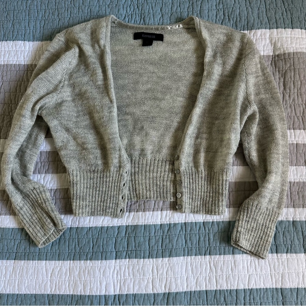 Express Y2K Vintage Merino Alpaca Mohair Gray Silver Crop Sweater XS